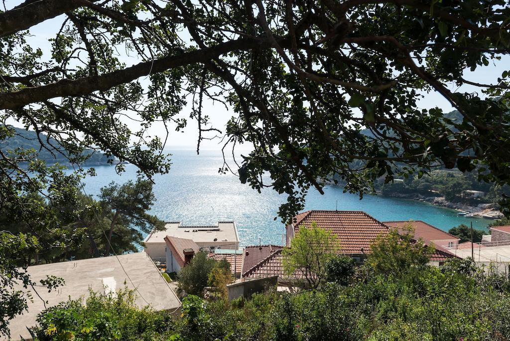 Guest House Kralj Saplunara Esterno foto